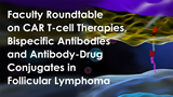 Faculty Roundtable on CAR T-cell Therapies, Bispecific Antibodies & Antibody-Drug Conjugates in FL